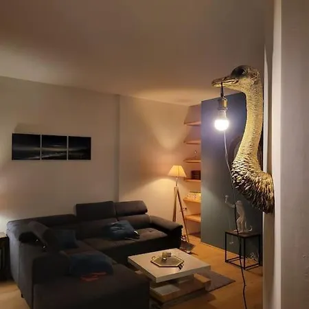 Sejour Cosy Plein Centre Vichy 公寓 维琪