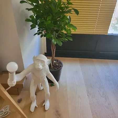 Sejour Cosy Plein Centre Vichy 公寓 *